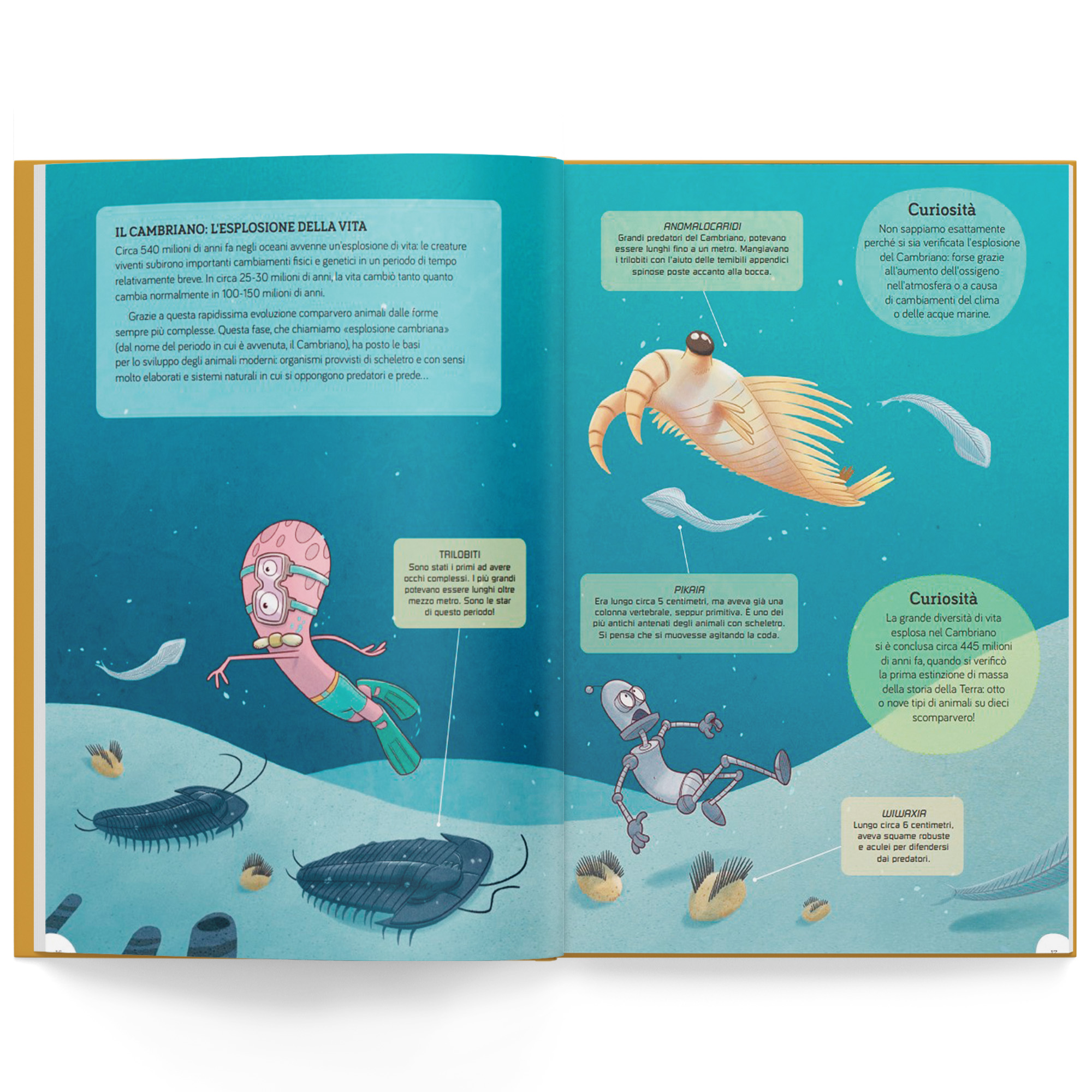 La storia della Terra - immagine 3