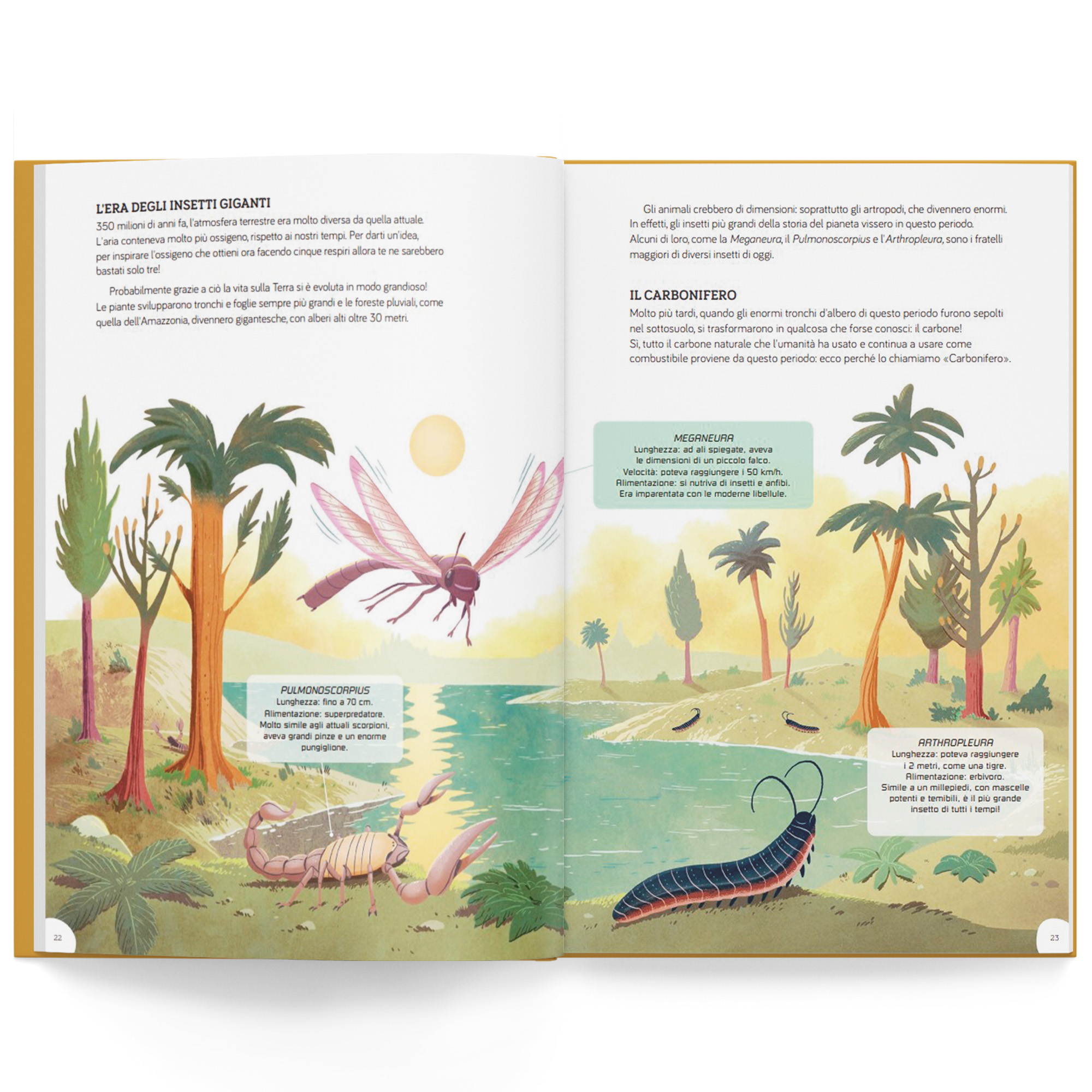 La storia della Terra - immagine 4