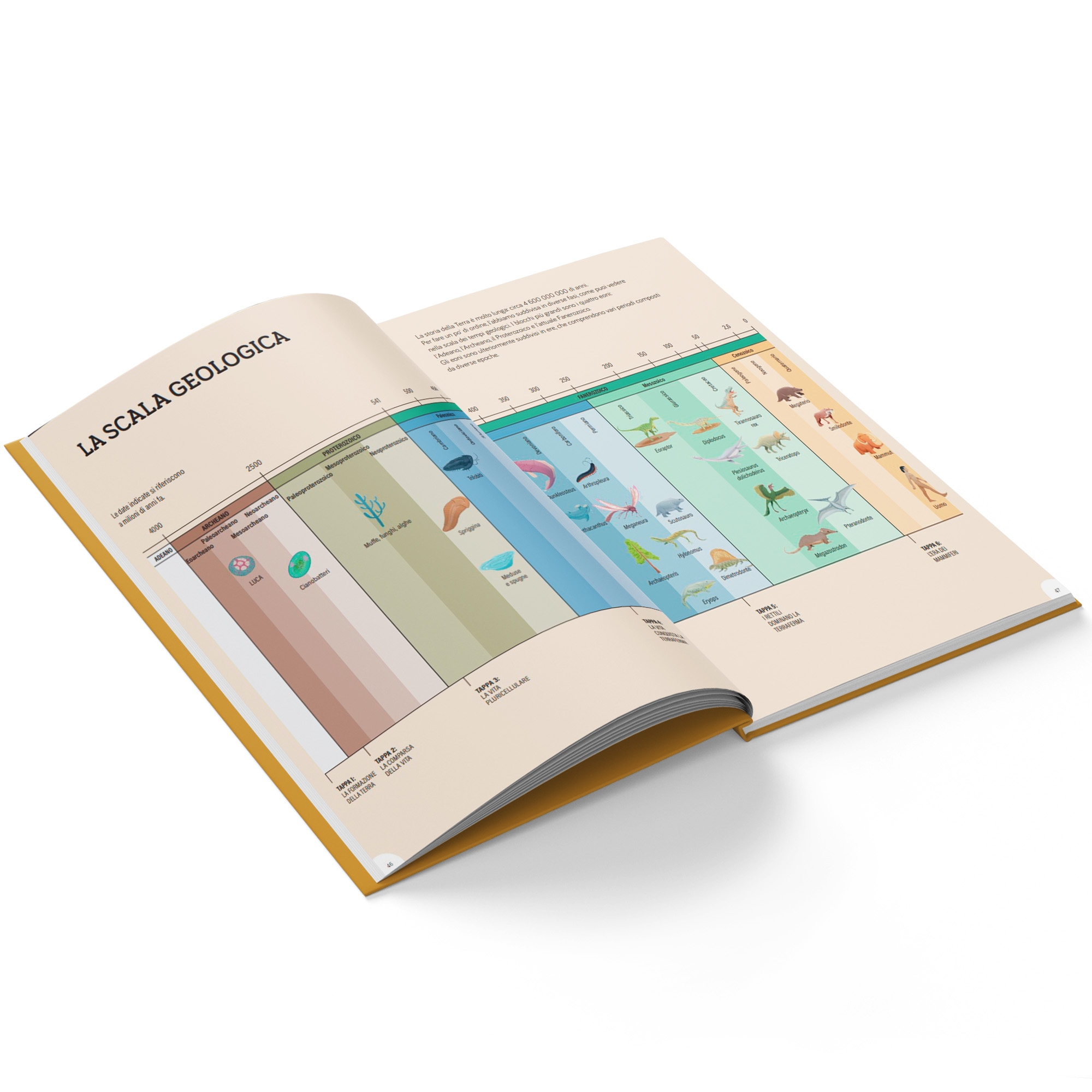 La storia della Terra - immagine 6