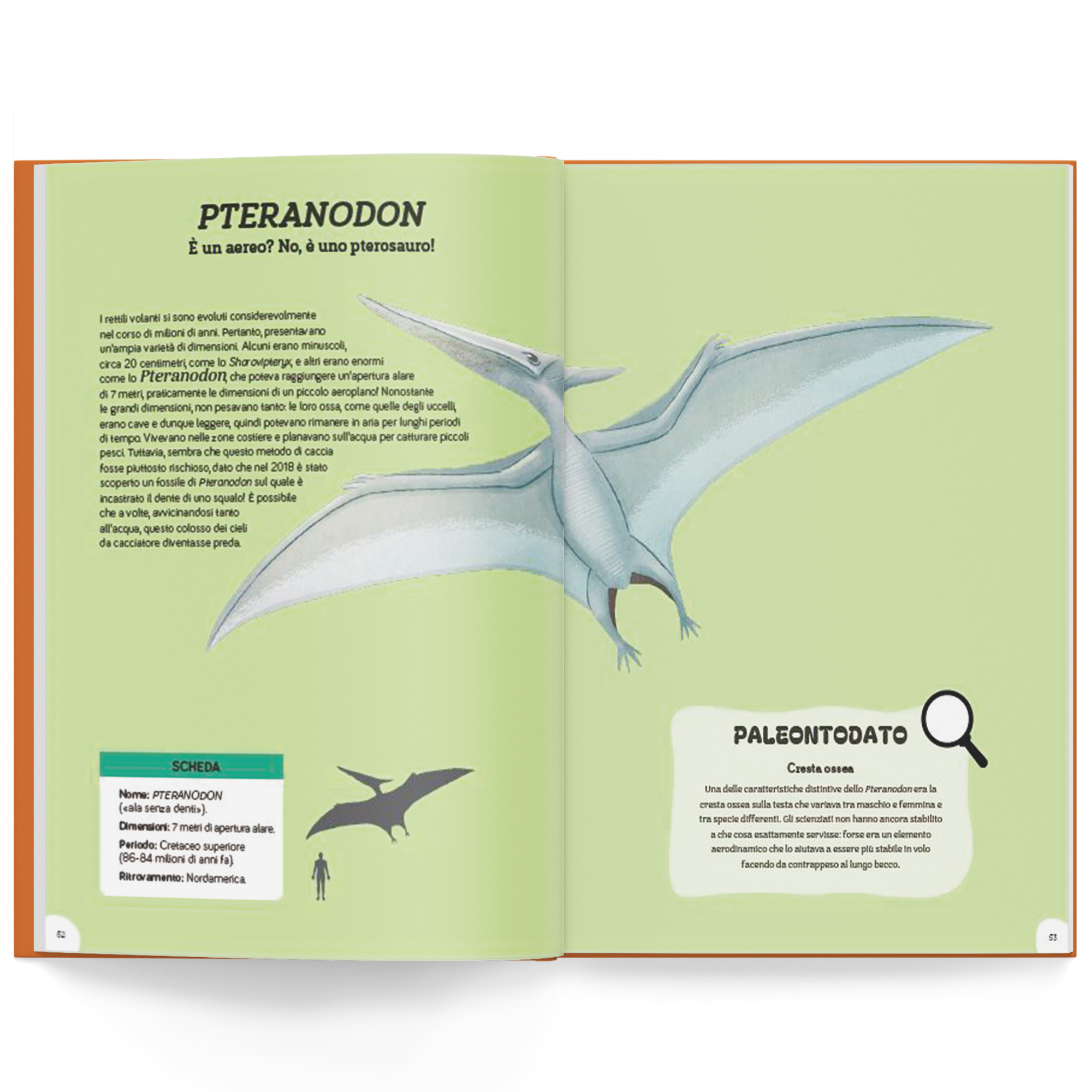 Mostri preistorici - immagine 4