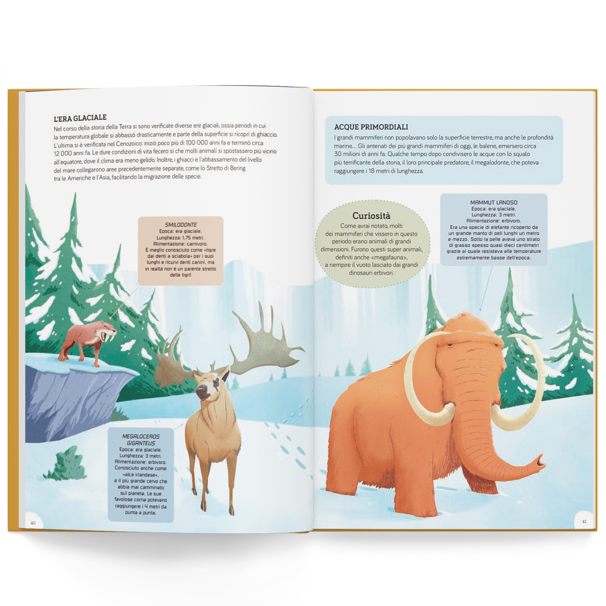 La storia della Terra - immagine 5